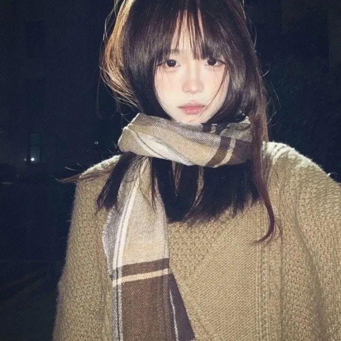 闪闪的红星 动画版